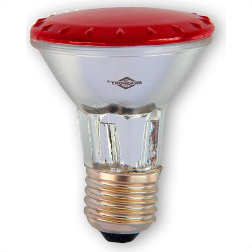 Lampada Halogena Par 20 Brasfort 50W X 220V Vermelha 7290 Lampada Halogena Par 20 Brasfort 50W X 220V Vermelha 7290