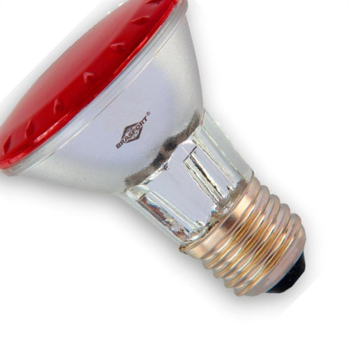 Lampada Halogena Par 20 Brasfort 50W X 220V Vermelha 7290 Lampada Halogena Par 20 Brasfort 50W X 220V Vermelha 7290