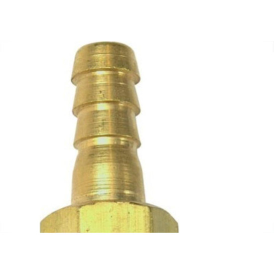 Espigao Fixo Rapanui(00)1/8X1/4 Ce1