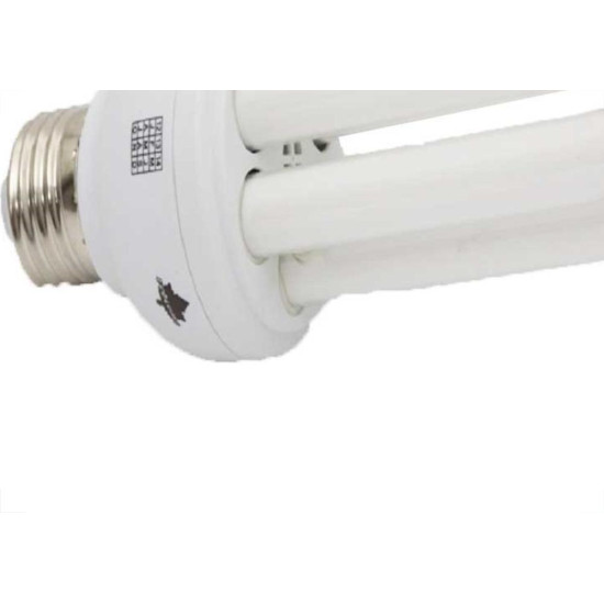 Lampada Compacta Espiral 58X127 Ecolume 6400K 288