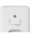 Conjunto Ilumi Stylus 4X2 Branco Com Placa (1Simples+Tomada 10A) 20200