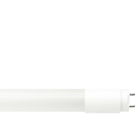 Lampada Led Tubular Taschibra T8 09,9W 6000K Vidro Lampada Led Tubular Taschibra T8 09,9W 6000K Vidro