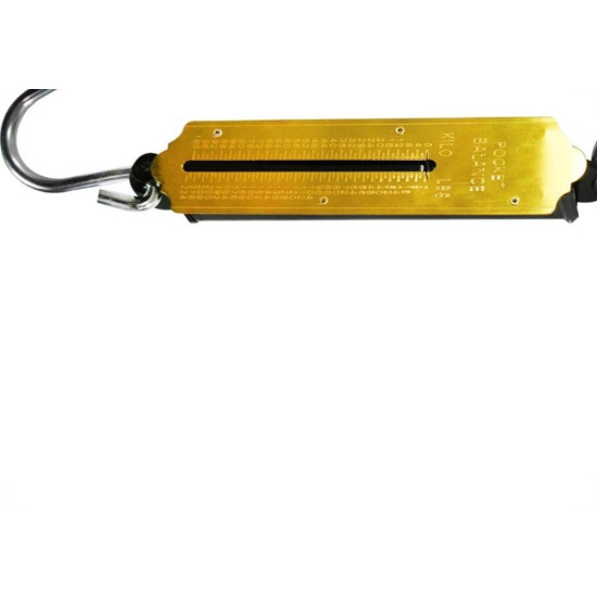 Balanca Peixeiro Capacidade 100Kg Western Fs-100