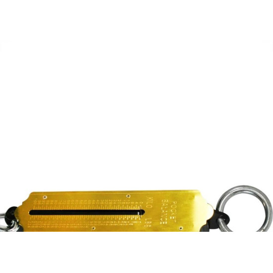 Balanca Peixeiro Capacidade 100Kg Western Fs-100