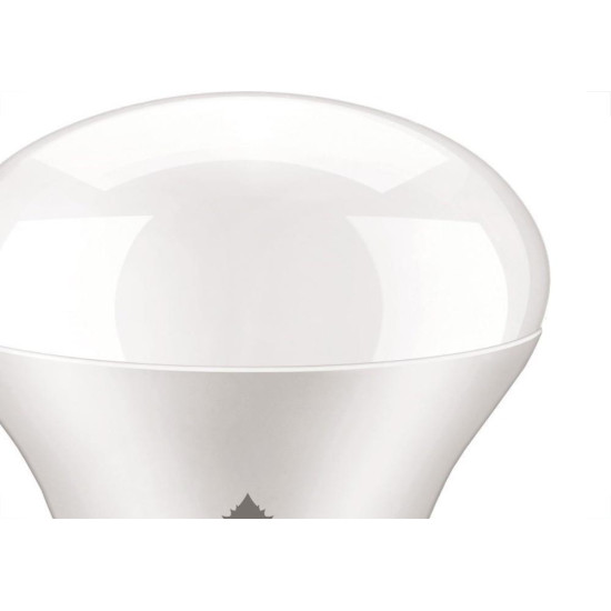 Lampada Led Bulbo Ecolume 12W 6000K A60 27217