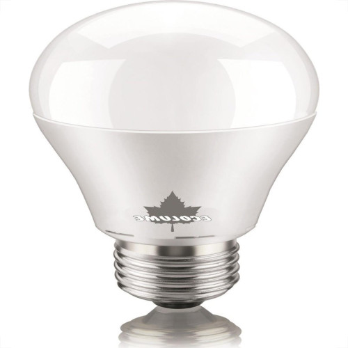 Lampada Led Bulbo Ecolume 15W 6000K A65 27219 Lampada Led Bulbo Ecolume 15W 6000K A65 27219