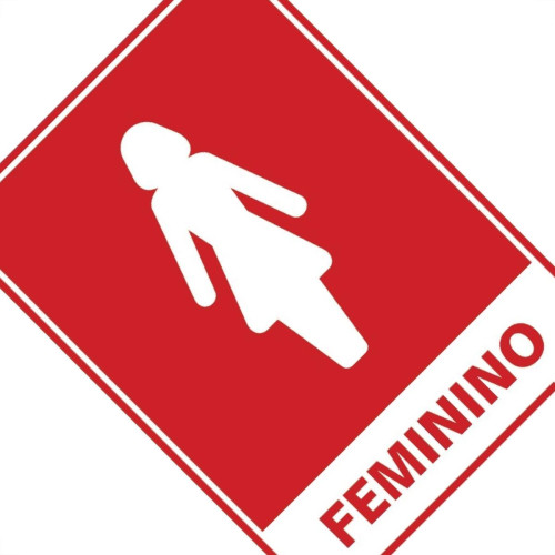 Placa Sinalizacao Poliestireno 15X20 ''sanitario Feminino'' 220Ac Placa Sinalizacao Poliestireno 15X20 ''sanitario Feminino'' 220Ac
