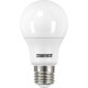 Lampada Led Bulbo Taschibra 7W 6500K Lampada Led Bulbo Taschibra 7W 6500K