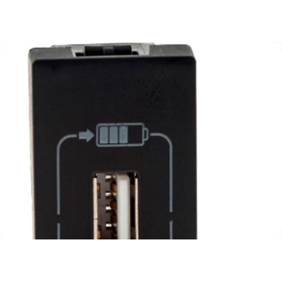 Modulo Pial Plus+ Preto 1Tomada Usb 1100Ma 615088Pt