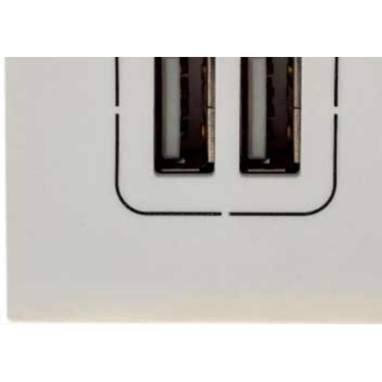 Modulo Pial Plus+ Branco 2 Tomada Usb 2400Ma 615089Bc