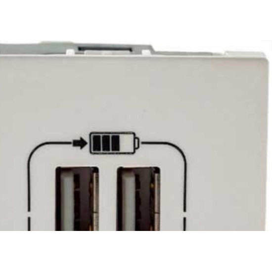 Modulo Pial Plus+ Branco 2 Tomada Usb 2400Ma 615089Bc