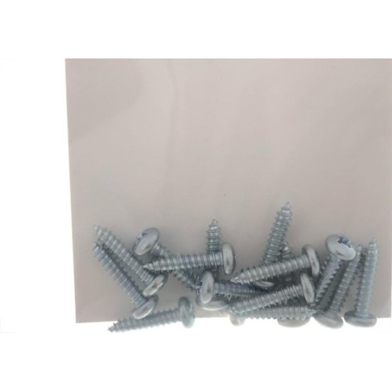 Cartela Parafuso Auto/Atarrachante Panela Preguim 4,2 X 19Mm Com 15 Pecas 4010 Cartela Parafuso Auto/Atarrachante Panela Preguim 4,2 X 19Mm Com 15 Pecas 4010