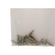 Cartela Parafuso Chipboard Preguim Cabeca Chata Philips S3,0X16 Com 20 Pecas 5321