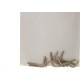 Cartela Escapula Bicromatizada Preguim 16X30 Com 08 Pecas 0425 Cartela Escapula Bicromatizada Preguim 16X30 Com 08 Pecas 0425