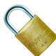 Cadeado Papaiz 30Mm - Kit C/10 Cadeado Papaiz 30Mm - Kit C/10