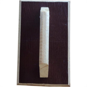 Desempenadeira Madeirite Santos 16X26Cm 10 - Kit C/12 