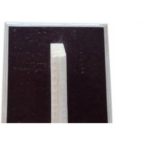 Desempenadeira Madeirite Santos 18X28Cm 11 - Kit C/12 Desempenadeira Madeirite Santos 18X28Cm 11 - Kit C/12