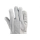 Luva De Raspa Zanel Clute 15Cm Blister C-15Crri Luva De Raspa Zanel Clute 15Cm Blister C-15Crri