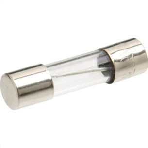 Fusivel De Vidro Asantos Grande 7,00A Com 10 Pecas 1054