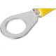 Pre-Isolado Asantos Anel 4,0/6,0 Amarelo M 3 Com 10 Pecas 1840 Pre-Isolado Asantos Anel 4,0/6,0 Amarelo M 3 Com 10 Pecas 1840