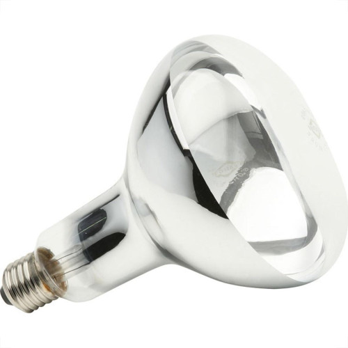 Lampada Secagem Infra-Vermelho Brasfort 250 X 220V 8464 Lampada Secagem Infra-Vermelho Brasfort 250 X 220V 8464