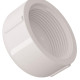 Caps Branca Tigre Rosca Rosca 3/4 X 3/4 - Kit C/50 Caps Branca Tigre Rosca Rosca 3/4 X 3/4 - Kit C/50