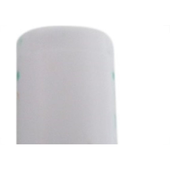 Starter Plastico Taschibra Com Condensador Fs2  - Kit C/25 