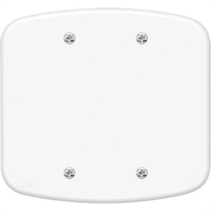 Placa Fame''Blanc''4X4 (Cega) 