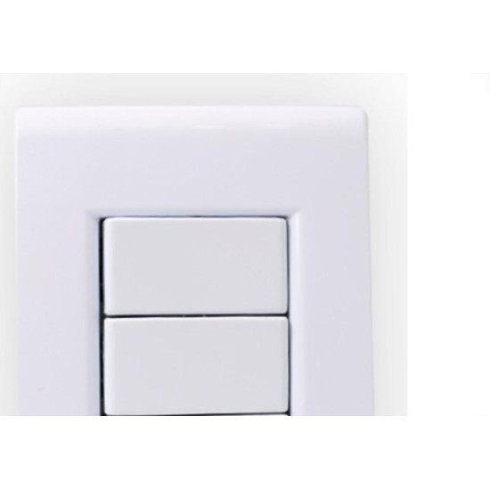 Cerge Conjunto  2 Int + Tomada 20A-7039