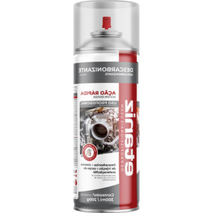 Etaniz Descarbonizante 300Ml