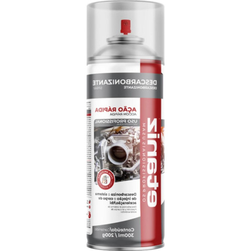 Etaniz Descarbonizante 300Ml