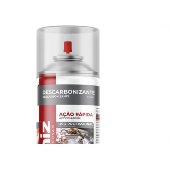 Etaniz Descarbonizante 300Ml