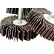 Fk Abrasivos Roda De Lixa C/Pino 70 X 20 X100 - Kit C/5 Pc