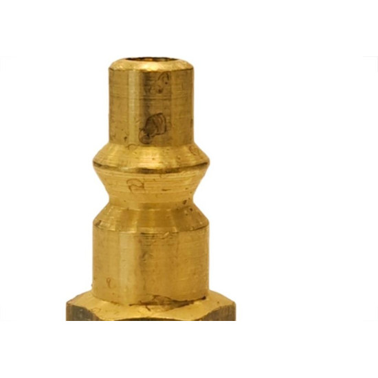 Garden Pino P/Engate Rapido Femea 1/4