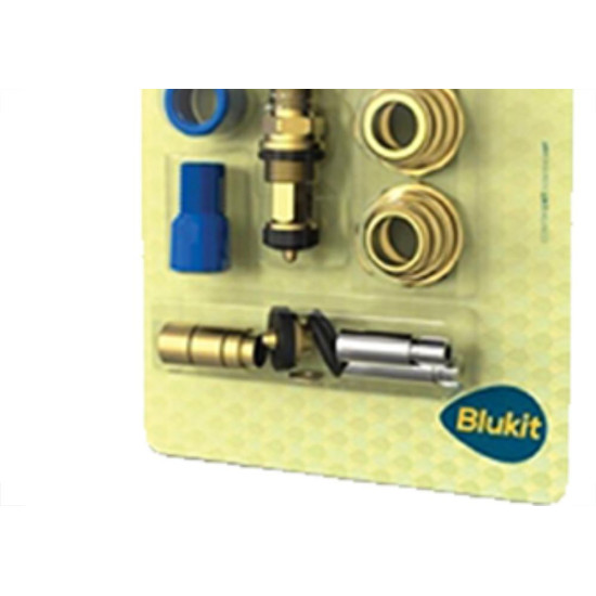 Blukit Salva Reg.Pressao 10Em1 -060101 Blukit Salva Reg.Pressao 10Em1 -060101