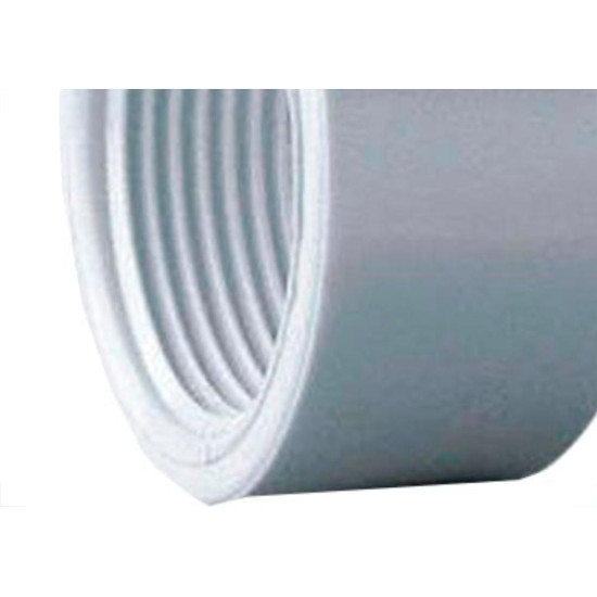 Amanco Caps Rosca Rr 11/2'' - Kit C/10 Pc