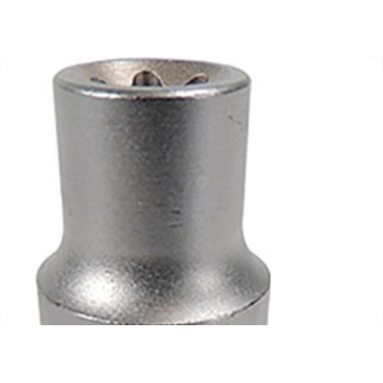 Brasfort (Waft) Soquete Torx Femea Waft 1/2 E08 Brasfort (Waft) Soquete Torx Femea Waft 1/2 E08