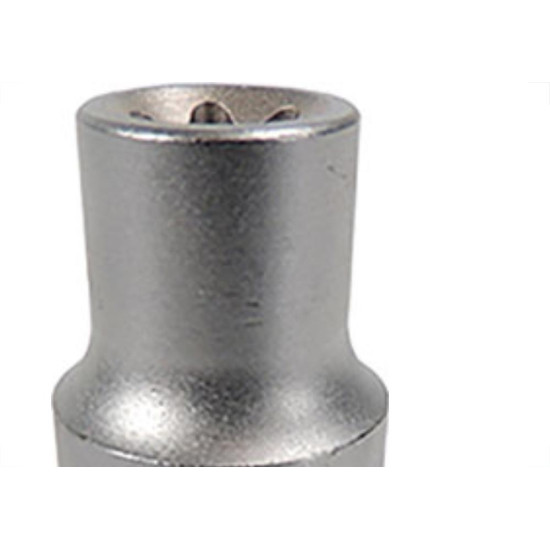 Brasfort (Waft) Soquete Torx Femea Waft 1/2 E12 Brasfort (Waft) Soquete Torx Femea Waft 1/2 E12