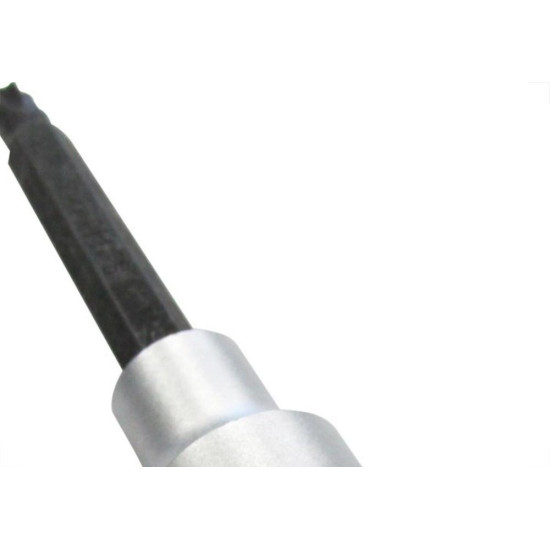 Brasfort (Waft) Soquete Torx Macho Waft Lg 1/2 T60 Brasfort (Waft) Soquete Torx Macho Waft Lg 1/2 T60