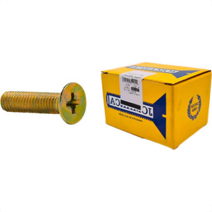 Jomarca Parafuso Metrico Jmc Chata Phillips 3,0X10 - Kit C/5 Centos
