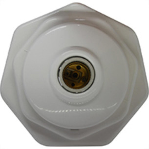 Pexcel Plafonie C/Soquete Br.Hepta-007
