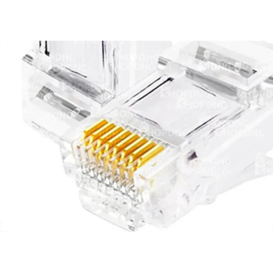 Interneed Plug Rj-45 (8X8) C/100