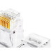 Interneed Plug Rj-45 (8X8) C/100