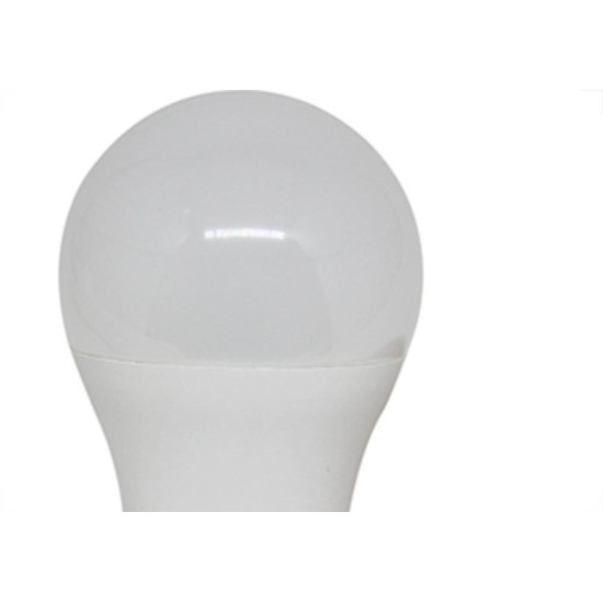 Ourolux Lamp Led Bulbo 12W 6,5K Inm
