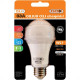 Foxlux Lamp Led Bulbo 12W 6500K