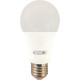 Foxlux Lamp Led Bulbo  15W 6500K