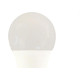 Foxlux Lamp Led Bulbo  15W 6500K