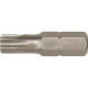 Hansa Tecnica Bits Torx Ht 40 X 50Mm - Kit C/10 Pc