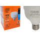 Foxlux Lamp Led A.Fator 30W 6500K