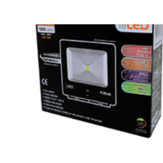 Foxlux Refletor Led 30W 6500K Preto
